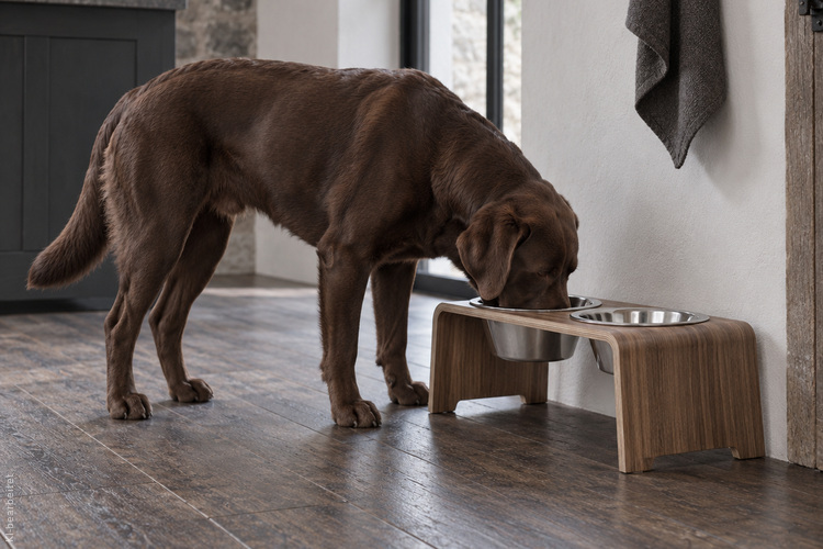 DOGBAR