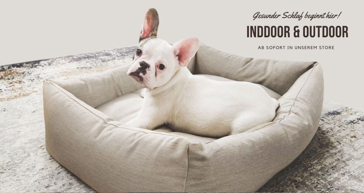 Dogs Inn® - Manufaktur | Startseite | Lifestyle Manufaktur für Hundezubehör  | Original COSYBEDs | Saltydog